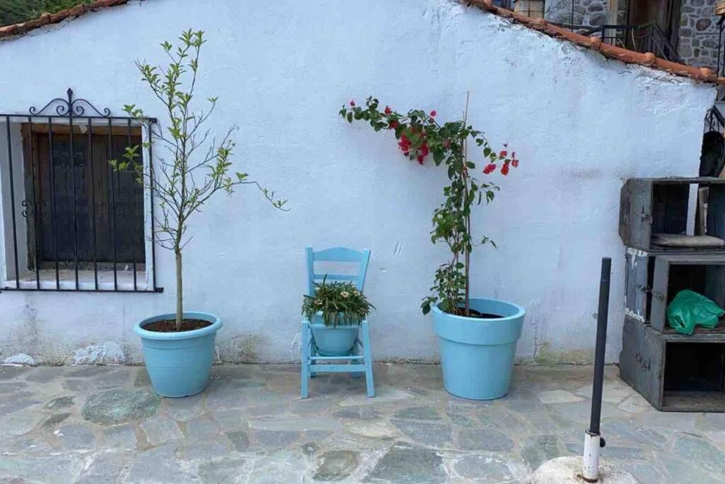 House Marika - Between Sea & Mountains Sykia Chalkidikis Luaran gambar